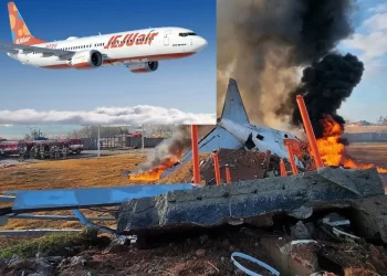 Diduga nabrak burung, pesawat Jeju Air alami kecelakaan tragis, 179 penumpang tewas