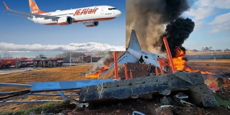 Diduga nabrak burung, pesawat Jeju Air alami kecelakaan tragis, 179 penumpang tewas
