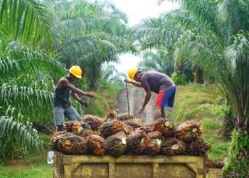 5 pengusaha sawit terkaya di Indonesia, nomor 4 anak Siantar