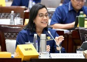 Ini daftar barang dan jasa yang terkena dampak kenaikan PPN 12 persen