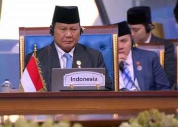 Presiden Prabowo Subianto serukan negara muslim dukung Palestina