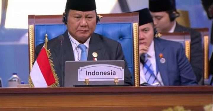 Presiden Prabowo Subianto serukan negara muslim dukung Palestina