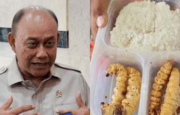 Kepala BGN sebut serangga bisa jadi menu Makan Bergizi Gratis, siapa mau?