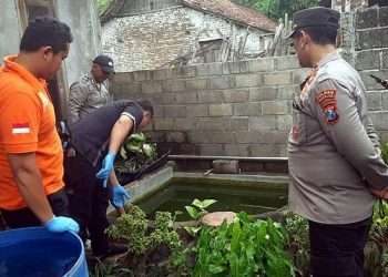 Ditinggal orang tua tidur siang, balita kembar tewas tenggelam di kolam ikan