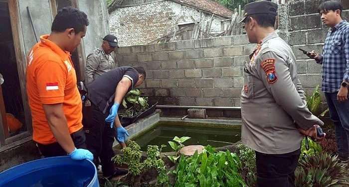 Ditinggal orang tua tidur siang, balita kembar tewas tenggelam di kolam ikan