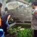 Ditinggal orang tua tidur siang, balita kembar tewas tenggelam di kolam ikan