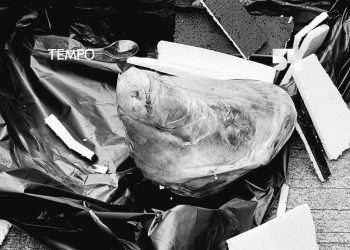 Teror! Kantor redaksi Tempo dikirimi kepala babi ditujukan untuk wartawan