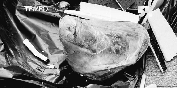 Teror! Kantor redaksi Tempo dikirimi kepala babi ditujukan untuk wartawan