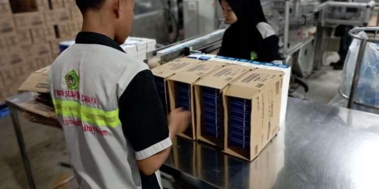 Kesempatan Emas! PT Macan Sejahtera Cahaya Buka 300 Lowongan Kerja di KEK Sei Mangkei