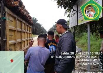 Satpam PT Macan Sejahtera Cahaya Kembali Gagalkan Aksi Pencurian Sawit di Kebun PT Gandaerah Hendana