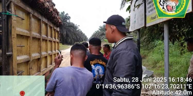 Satpam PT Macan Sejahtera Cahaya Kembali Gagalkan Aksi Pencurian Sawit di Kebun PT Gandaerah Hendana