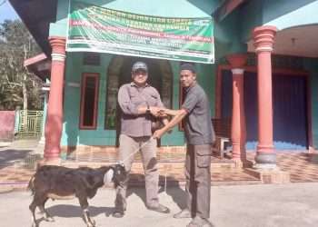 PT Macan Sejahtera serahkan 5 ekor kambing kurban di Riau sambut Idul Adha 1446 H