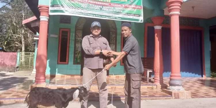 PT Macan Sejahtera serahkan 5 ekor kambing kurban di Riau sambut Idul Adha 1446 H