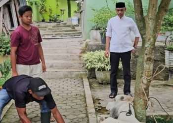 Maknai Idul Adha 1446 H, SMK Swasta Al Washliyah 2 Perdagangan sembelih hewan kurban dan bagikan daging ke warga