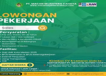 Kerja Gak Harus Ribet, Jadi Sales Aja! Yuk Gabung di PT Macan Sejahtera Cahaya, Cek Persyaratannya di Sini