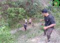 Gerak Cepat! Satpam PT Macan Sejahtera Cahaya Gagalkan Pencurian Tandan Sawit Oleh OTK di PT Gandaerah Hendana