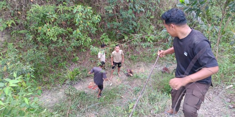 Gerak Cepat! Satpam PT Macan Sejahtera Cahaya Gagalkan Pencurian Tandan Sawit Oleh OTK di PT Gandaerah Hendana