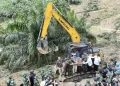 TNI Musnahkan 311 Hektare Sawit Ilegal di Taman Nasional Tesso Nilo