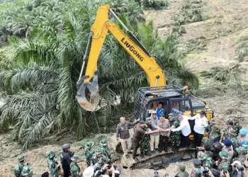 TNI Musnahkan 311 Hektare Sawit Ilegal di Taman Nasional Tesso Nilo