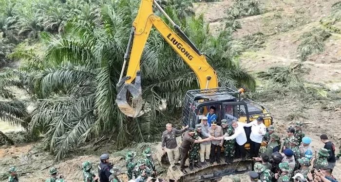 TNI Musnahkan 311 Hektare Sawit Ilegal di Taman Nasional Tesso Nilo