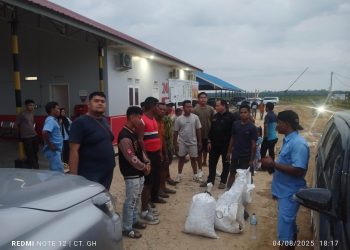 Patroli Sigap, Satpam PT MSC Gagalkan Aksi Pencurian Sawit di PT Gandaerah Hendana