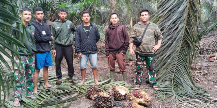 Satpam PT Macan Sejahtera Cahaya Tunjukkan Taringnya, Gagalkan Pencurian TBS di PT Gandaerah Hendana