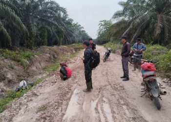 Kerja Cepat! Satpam PT Macan Sejahtera Cahaya Amankan Brondolan dan Pelaku Pencurian TBS di PT Gandaerah Hendana