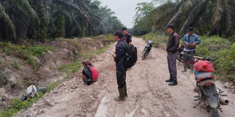 Kerja Cepat! Satpam PT Macan Sejahtera Cahaya Amankan Brondolan dan Pelaku Pencurian TBS di PT Gandaerah Hendana