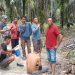 Dua Pencuri Brondolan Sawit Ditangkap Satpam PT Macan Sejahtera Cahaya di PT Gandaerah Hendana