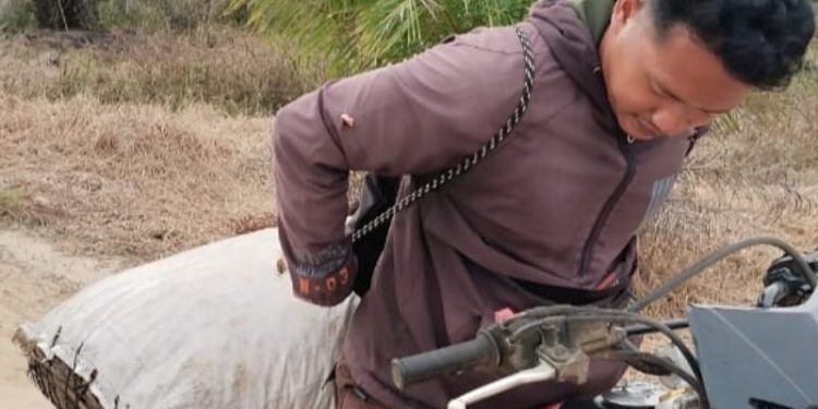 Tim Keamanan PT Macan Sejahtera Cahaya Gagalkan Pencurian Sawit di PT Gandaerah Hendana