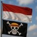 Bendera One Piece Viral Menjelang HUT ke-80 RI, Ini Makna Sebenarnya