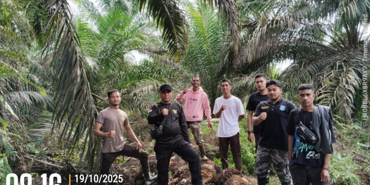 Patroli Dini Hari Berbuah Hasil, Tim Keamanan PT Macan Sejahtera Cahaya Gagalkan Aksi Pencurian Sawit di PT Gandaerah Hendana