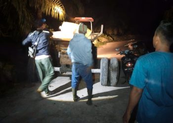 Koordinasi Patroli Efektif, Tim Keamanan PT Macan Sejahtera Cahaya Amankan 300 Kg Brondolan Sawit dari Tangan OTK