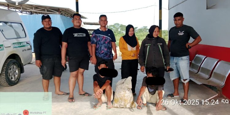 Aksi Cepat Satpam PT Macan Sejahtera Cahaya Amankan Dua Pelaku Pencurian Sawit di PT Gandaerah Hendana