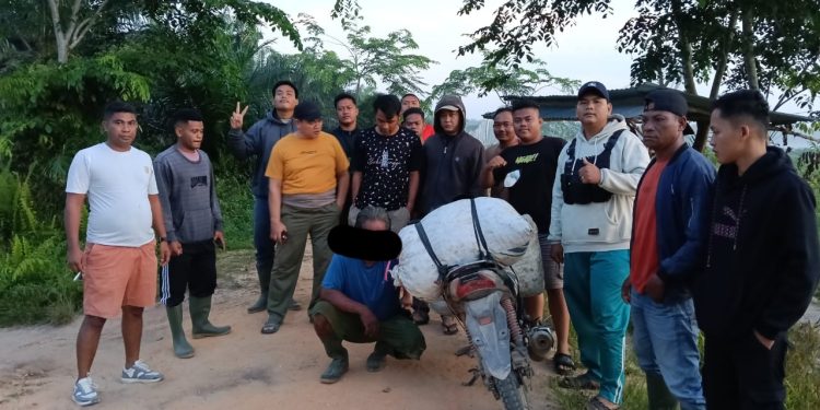 Patroli Malam Efektif, Tim Keamanan PT Macan Sejahtera Cahaya Ciduk Pelaku Pencurian Sawit di PT Gandaerah Hendana