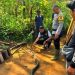 Petani 73 Tahun Tewas Setelah Duel Lawan King Kobra 4 Meter di Sukabumi