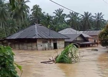 Banjir dan Longsor Landa 11 Kabupaten di Sumut, 24 Warga Meninggal Dunia
