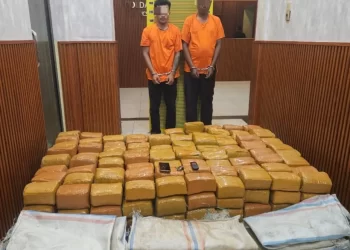 Polda Sumut Gagalkan Penyelundupan 255 Kilogram Ganja, Dua Kurir Dibayar Rp50 Juta