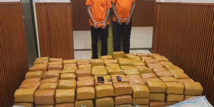 Polda Sumut Gagalkan Penyelundupan 255 Kilogram Ganja, Dua Kurir Dibayar Rp50 Juta
