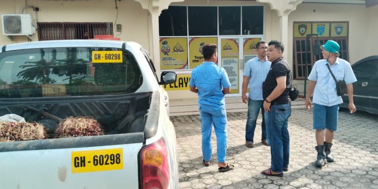 Tim Keamanan PT Macan Sejahtera Cahaya Berhasil Gagalkan Aksi Pencurian TBS, 1 Pelaku Ditangkap