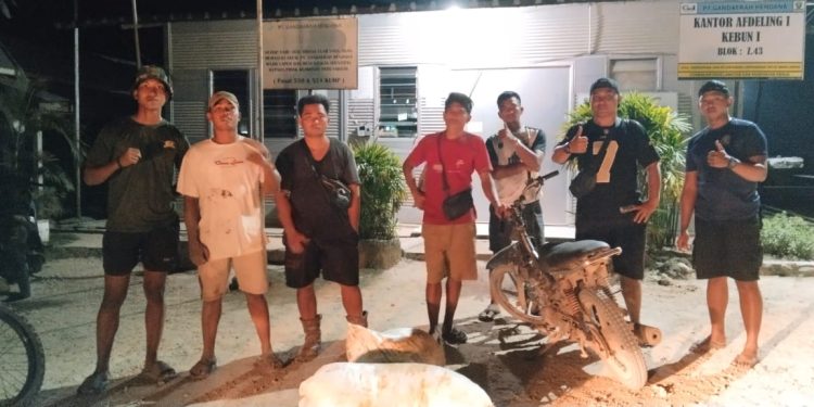 Tim Keamanan PT Macan Sejahtera Cahaya Bertindak Sigap, 2 OTK Diringkus Saat Curi TBS
