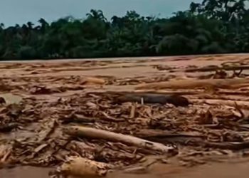 Kayu Gelondongan Berserakan Pasca Banjir Sipirok, Aktivis: Peringatan Kami Terbukti