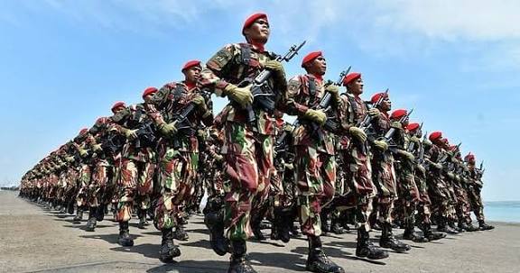Militer Indonesia Tempati Peringkat 13 Dunia, Kalahkan Jerman dan Israel