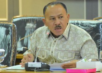 Maruli Siahaan Sebut Masyarakat Tak Punya Wewenang Untuk Minta PT Toba Pulp Lestari Ditutup