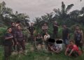 Tim Keamanan PT Macan Sejahtera Cahaya Ringkus Dua OTK Pencuri Sawit