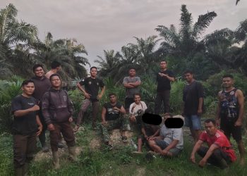 Tim Keamanan PT Macan Sejahtera Cahaya Ringkus Dua OTK Pencuri Sawit