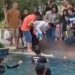 Dua Anak Kembar Meninggal Dunia Usai Tenggelam di Kolam Renang Citra Land Deli Serdang