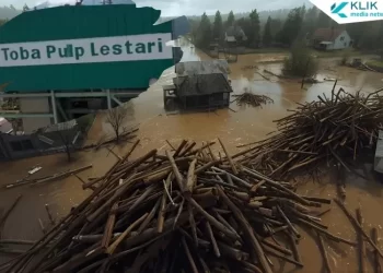 Profil Pemilik PT Toba Pulp Lestari, Perusahaan yang Dituduh Jadi Dalang Banjir Sumatra Utara