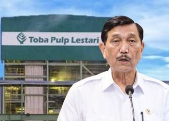 Luhut Pandjaitan Bantah Jadi Pemilik PT Toba Pulp Lestari