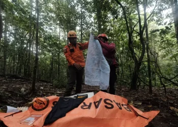 Delapan Korban Pesawat ATR 42-500 Ditemukan, Dua Masih Dalam Pencarian